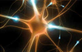 インディバ・アクティブ:超活性化 / ハイパーサーミア